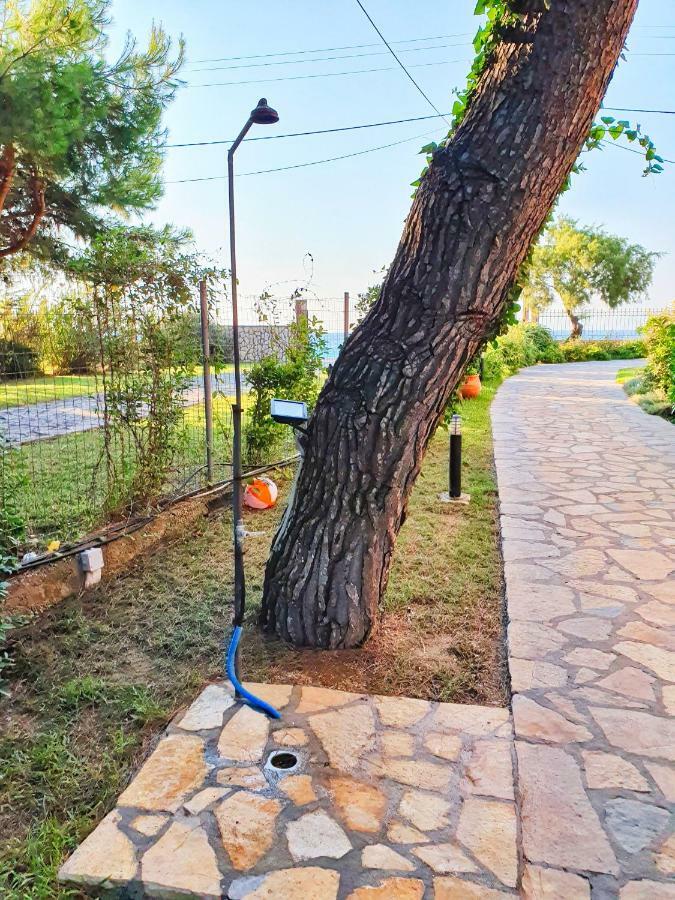 Makis&Fani Homes Агиос Йоанис Екстериор снимка